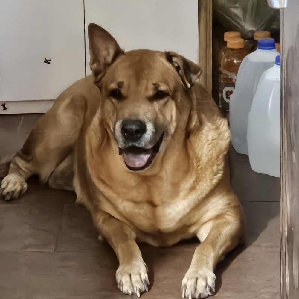 Meet your Posher, Wendy see our pictures - Picture 15 of 16